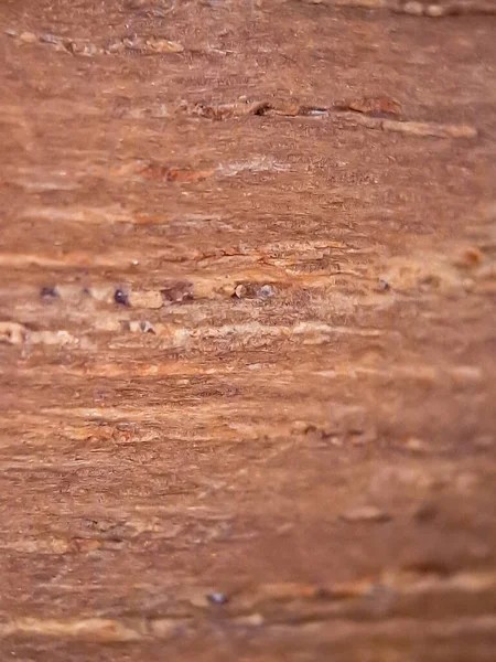 Brązowy Drewno Tekstury Makro Nadaje Się Tła Tapety — Zdjęcie stockowe