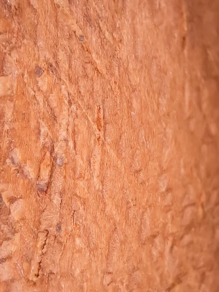 棕色木材纹理宏 适合墙纸背景 — 图库照片