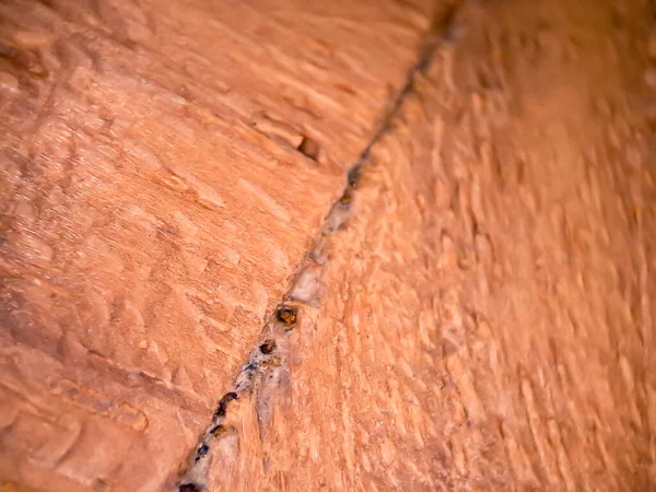 Hnědé Dřevo Textura Makro Vhodné Pro Pozadí Tapety — Stock fotografie