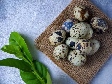 Bıldırcın yumurtaları insanların en sevdiği yiyecektir. Tahta tabakta beyaz arka planda bir bıldırcın yumurtası koleksiyonu.