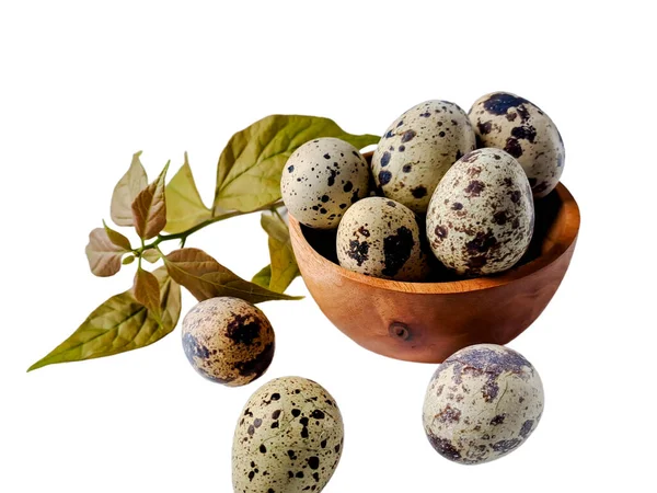 Quail Eggs Quail People Favorite Food Collection Quail Eggs Wooden — Stock Photo, Image