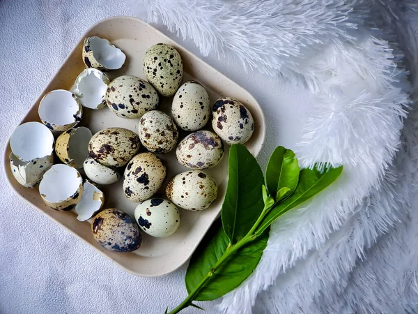Перепелині Яйця Перепелів Улюблена Їжа Людей Колекція Перепелиних Яєць Дерев — стокове фото