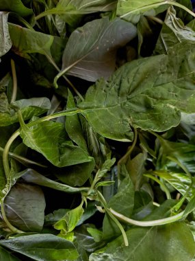 Yeşil ıspanak ve hardal yeşilliklerinin tazeliğini hissedin. Bu besleyici, canlı yapraklı yeşilliklerle yemeklerinizi yükseltin.