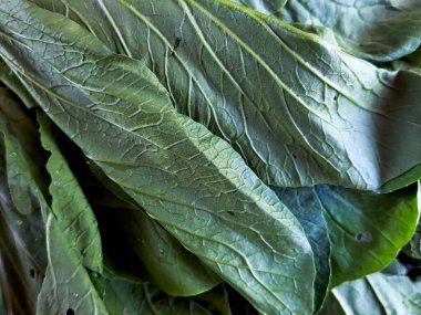 Taze yeşil hardal yeşilliklerinin canlı dünyasını keşfedin. Gıcır gıcır, besleyici güzelliklerini keşfedin ve aşçılık ürünlerinizi yükseltin.