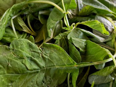 Yeşil ıspanak ve hardal yeşilliklerinin tazeliğini hissedin. Bu besleyici, canlı yapraklı yeşilliklerle yemeklerinizi yükseltin.