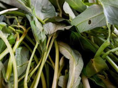 Taze yeşil lahananın canlı, besleyici güzelliğini hissedin. Yemeklerinizi bu süper yiyecek gücüyle yükseltin.