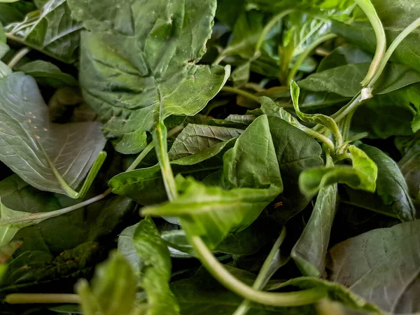 Indulge in the freshness of green spinach and mustard greens. Elevate your meals with these nutritious, vibrant leafy greens