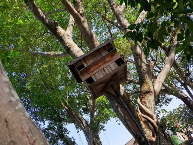 Dalların tepesine kurulmuş bir güvercin evinin cazibesini keşfedin. Bu eşsiz konutta doğa ve mimarinin birlikte varoluşunu araştırın.