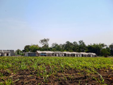 Endonezya hükümeti konut için sübvansiyon öneriyor, yaşamak için bir yer bulmaya çalışanlar için mükemmel. Bu program sayısız insanın ev sahibi olma hayaline ulaşmasına yardımcı oldu.