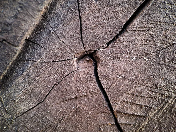 Eine Nahaufnahme Von Exotischem Braunem Holz Mit Streifen Von Helleren — Stockfoto