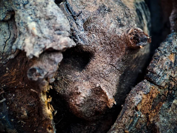 Detailní Záběr Exotického Hnědého Dřeva Pruhy Světlejších Tmavších Barev Dávají — Stock fotografie