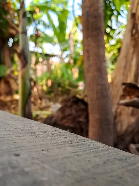 Прекрасний Фон Листяної Деревини Щоб Надати Вашому Будинку Натуралістичне Відчуття — стокове фото