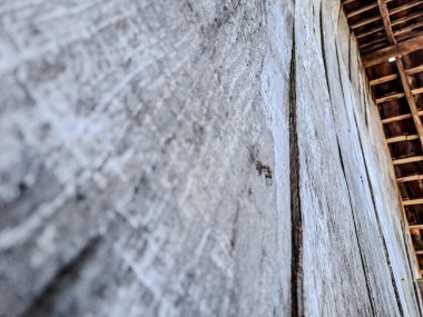 Kırsal ahşap bir tavana sahiptir. Açıkta kirişler ve eski kalaslar vardır.