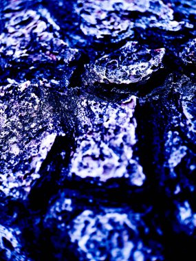 canlı mavi ve mor renk paleti ile ağaç kabuğu