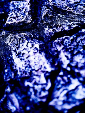 canlı mavi ve mor renk paleti ile ağaç kabuğu