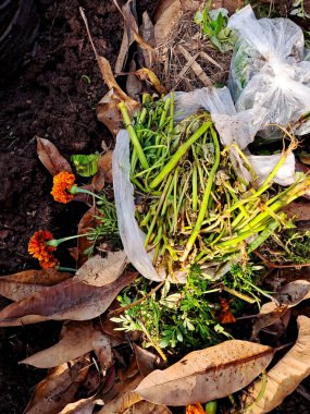 discarded food scraps and a plastic bag on a compost pile clipart