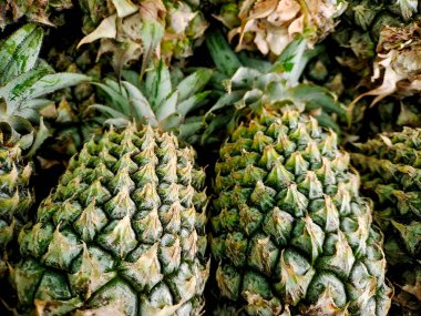 Taze ananas yığını, dikenli dokuları ve canlı yeşil renkleri sergileniyor. Yemek fotoğrafçılığı için mükemmel.