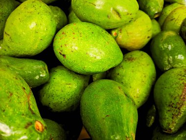 Olgun avokado yığını, canlı yeşil renklerini ve pürüzsüzlüklerini sergiliyorlar.