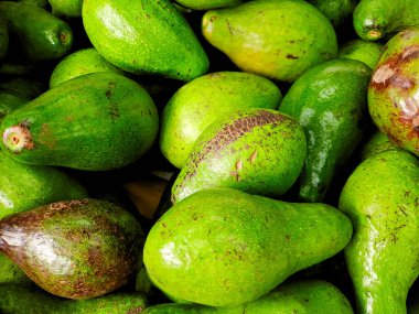 Olgun avokado yığını, canlı yeşil renklerini ve pürüzsüzlüklerini sergiliyorlar.