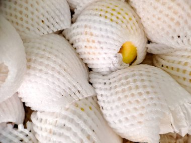 Asian pears wrapped in protective white netting, showcasing the fresh produce at a market or grocery store. Perfect for food photography clipart