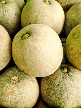 Kavun yığını. Ağlı derilerini sergiliyorlar ve olgun sarılar.