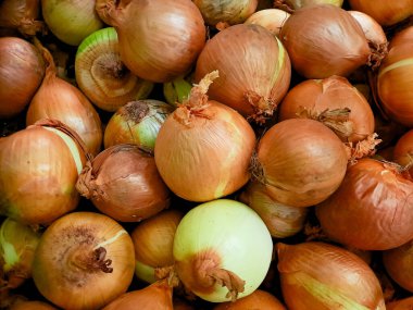 Taze, altın sarısı soğan yığını katmanlı dokularını ve topraksı aromalarını renklendiriyor. Yemek fotoğrafçılığı için mükemmel.