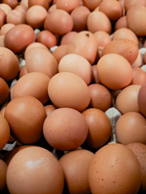 Yeni bırakılmış kahverengi yumurta yığını doğal dokularını ve sıcak tonlarını sergiliyor. Yemek fotoğrafçılığı için mükemmel.