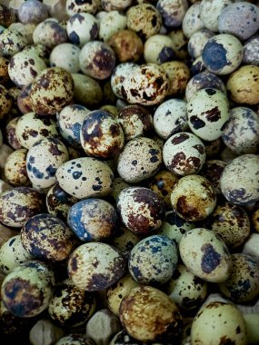 Benekli bıldırcın yumurtası yığını, benzersiz desenlerini ve minyatür boyutlarını gösteriyor.