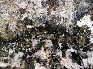 Yakın plan, yıpranmış duvar dokusunun çeşitli renk kalıplarına sahip karmaşık ayrıntılarını gözler önüne serer.. 