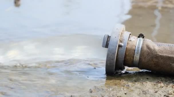 下水管は汚染された水を川に捨てます 水質汚染 環境汚染の概念 — ストック動画
