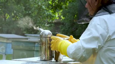 Arı yetiştiricisi arılarla ve arı kovanlarıyla çalışır. Arı kovanında koruyucu giysili bir adam..