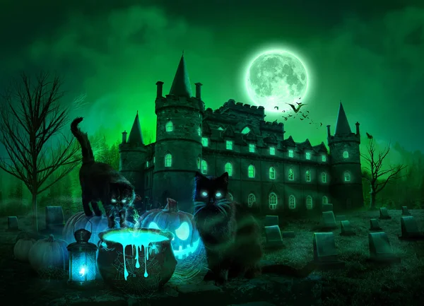 Renderizado Noche Santa Con Gato Calabazas Halloween Bosque Espeluznante Noche — Foto de Stock