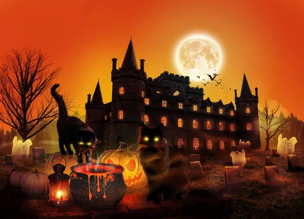 Рендеринг Святая Ночь Котом Хэллоуин Тыквы Жутком Лесу Ночью Злыми — стоковое фото