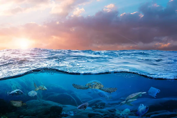물고기와 거북이는 바다의 아래에서 수영하며 플라스틱 폐기물로 둘러싸여 있습니다 — 스톡 사진