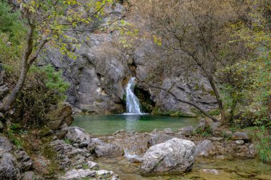 Akşam havasında güzel bir manzara, gün ışığında suyun yanında. Deniz, göl ya da nehir, su doğanın en güzel elementlerinden biridir. Güneşte parlıyor, her bayramı daha da güzelleştiriyor..