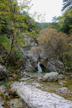 Akşam havasında güzel bir manzara, gün ışığında suyun yanında. Deniz, göl ya da nehir, su doğanın en güzel elementlerinden biridir. Güneşte parlıyor, her bayramı daha da güzelleştiriyor..