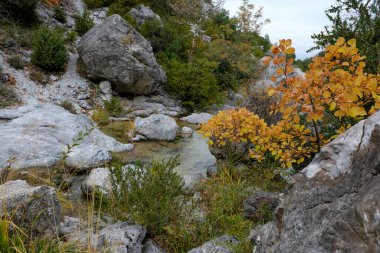Akşam havasında güzel bir manzara, gün ışığında suyun yanında. Deniz, göl ya da nehir, su doğanın en güzel elementlerinden biridir. Güneşte parlıyor, her bayramı daha da güzelleştiriyor..