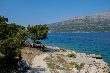 Akşam havasında güzel bir manzara, gün ışığında suyun yanında. Deniz, göl ya da nehir, su doğanın en güzel elementlerinden biridir. Güneşte parlıyor, her bayramı daha da güzelleştiriyor..