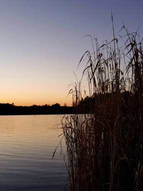 Akşam havasında güzel bir manzara, gün ışığında suyun yanında. Deniz, göl ya da nehir, su doğanın en güzel elementlerinden biridir. Güneşte parlıyor, her bayramı daha da güzelleştiriyor..