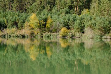Akşam havasında güzel bir manzara, gün ışığında suyun yanında. Deniz, göl ya da nehir, su doğanın en güzel elementlerinden biridir. Güneşte parlıyor, her bayramı daha da güzelleştiriyor..