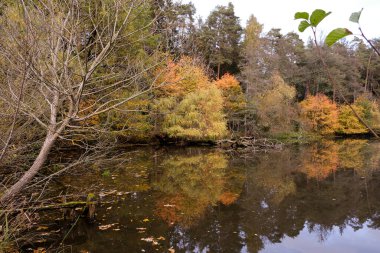 Akşam havasında güzel bir manzara, gün ışığında suyun yanında. Deniz, göl ya da nehir, su doğanın en güzel elementlerinden biridir. Güneşte parlıyor, her bayramı daha da güzelleştiriyor..