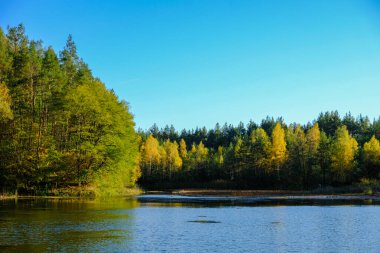 Akşam havasında güzel bir manzara, gün ışığında suyun yanında. Deniz, göl ya da nehir, su doğanın en güzel elementlerinden biridir. Güneşte parlıyor, her bayramı daha da güzelleştiriyor..