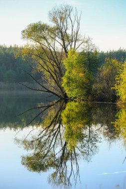Akşam havasında güzel bir manzara, gün ışığında suyun yanında. Deniz, göl ya da nehir, su doğanın en güzel elementlerinden biridir. Güneşte parlıyor, her bayramı daha da güzelleştiriyor..