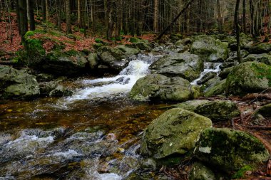 Akşam havasında güzel bir manzara, gün ışığında suyun yanında. Deniz, göl ya da nehir, su doğanın en güzel elementlerinden biridir. Güneşte parlıyor, her bayramı daha da güzelleştiriyor..
