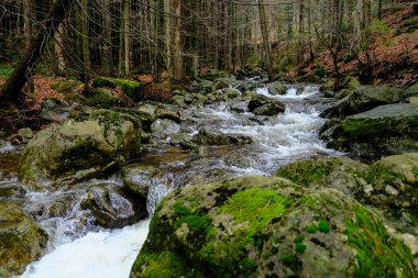 Akşam havasında güzel bir manzara, gün ışığında suyun yanında. Deniz, göl ya da nehir, su doğanın en güzel elementlerinden biridir. Güneşte parlıyor, her bayramı daha da güzelleştiriyor..