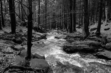 Akşam havasında güzel bir manzara, gün ışığında suyun yanında. Deniz, göl ya da nehir, su doğanın en güzel elementlerinden biridir. Güneşte parlıyor, her bayramı daha da güzelleştiriyor..