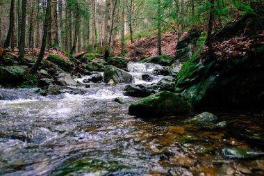 Akşam havasında güzel bir manzara, gün ışığında suyun yanında. Deniz, göl ya da nehir, su doğanın en güzel elementlerinden biridir. Güneşte parlıyor, her bayramı daha da güzelleştiriyor..