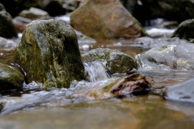 Akşam havasında güzel bir manzara, gün ışığında suyun yanında. Deniz, göl ya da nehir, su doğanın en güzel elementlerinden biridir. Güneşte parlıyor, her bayramı daha da güzelleştiriyor..