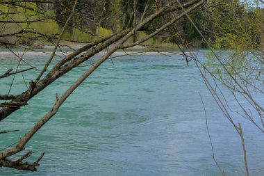Akşam havasında güzel bir manzara, gün ışığında suyun yanında. Deniz, göl ya da nehir, su doğanın en güzel elementlerinden biridir. Güneşte parlıyor, her bayramı daha da güzelleştiriyor..
