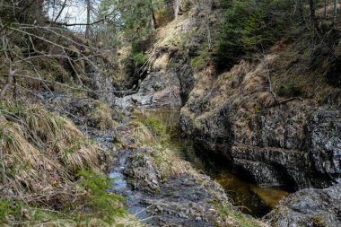 Akşam havasında güzel bir manzara, gün ışığında suyun yanında. Deniz, göl ya da nehir, su doğanın en güzel elementlerinden biridir. Güneşte parlıyor, her bayramı daha da güzelleştiriyor..